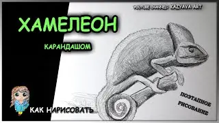 Как нарисовать ХАМЕЛЕОНА карандашом поэтапно