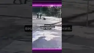 😱 Отец и сын пошли на ограбление, но есть нюанс 