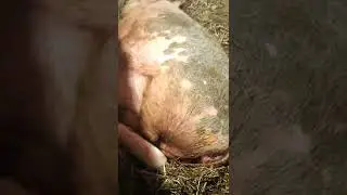Как прекрасен этот мир.