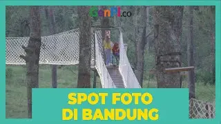 Wisata Bandung Orchid Forest Cikole Rajanya Spot Foto Terbaik