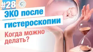 ЭКО после гистероскопии. Когда?