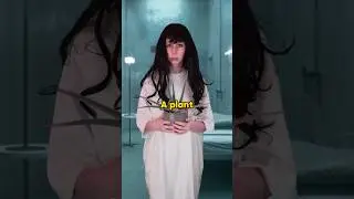 Learn English vocabulary with a plant 🌱  