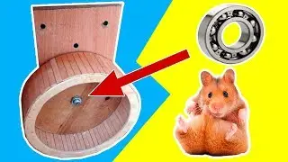Hamster wheel diy. How to Make Hamster Wheel from Popsicle Sticks. DIY Hamster toy