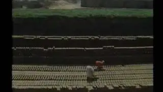 The Giant Nile - Egypt (part 2/5 of episode 3)