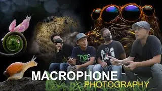foto makro dengan HP - MACROPHONE photography - belajar foto makro dengan hp
