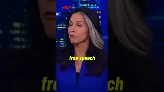 Tulsi Gabbard Dismantles The Democrat Party
