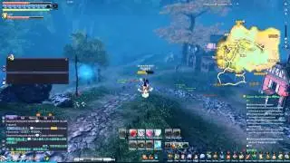 Система передвижения Быстрый полет Blade and Soul.