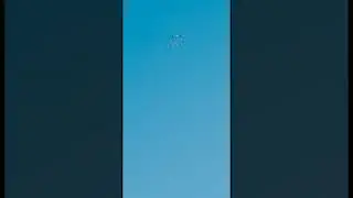 🕊️🕊️🕊️Универсальные голуби Мехди