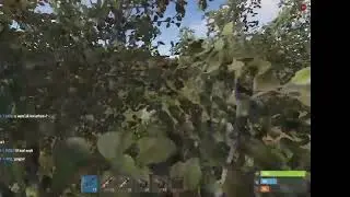 RUST - Reason why i hate bush and eoka in rust