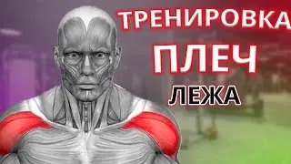 ТРЕНИРОВКА ПЛЕЧ. Упражнения плеч с гантелями #тренировкаплеч #плечи