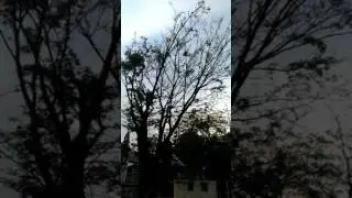 Look up the sky