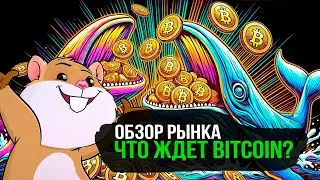 Киты готовят Bitcoin к росту? Обзор рынка. Новые возможности для заработка
