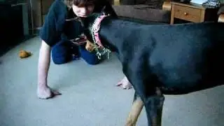 Boy thinks hes a dog