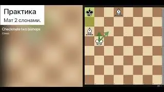 Практика мат 2 слонами 