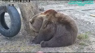 03.04.2024    
