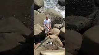 Squishy monkey on the freedom beach🦧😲😂