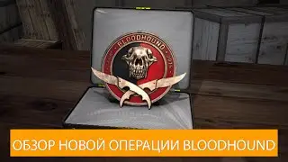CSGO - ОБЗОР НОВОЙ ОПЕРАЦИИ OPERATION BLOODHOUND