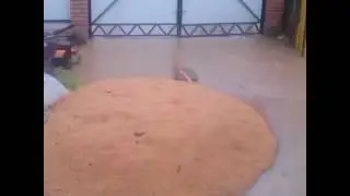 Наводнение в Арсеньеве