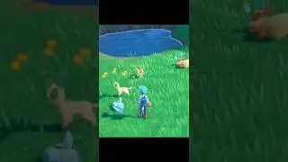 Cute Eeveelutions! | Pokemon Scarlet and Violet