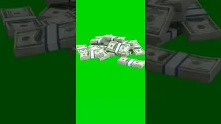 Dollar 💸 Stack falling animation green screen video 