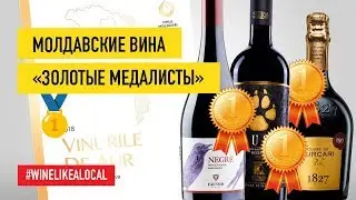 Молдавские вина «золотые медалисты» на полках METRO// Wine like a local