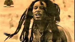 Exodus - BOB MARLEY & T. W. (INSTRUMENTAL in Vinyl) 1977 Island Records