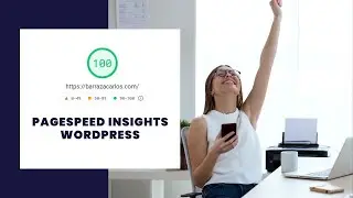 ⭐ PageSpeed Insights Wordpress | Optimized with Cloudways Vultr High Frequency + Fiverr
