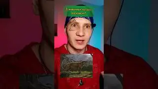 Этих животных хотят вернуть 