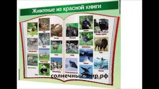 Видео обзор - Таблица Животные красной книги 700*1000 винил