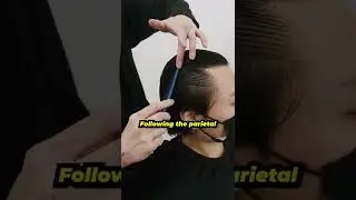 How to do a Beginner Sectioning Technique 