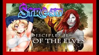 Disciples II Новый мод