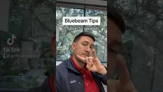 Essential Bluebeam tips 