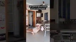Linguagem do amo: Qdo a linguagem do amor do homem são palavras de afirmação 🤣 #humor #comedia