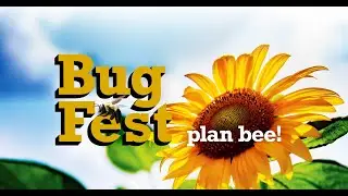 How Fruit Flies (and other bugs) Keep People and Pets Healthy!