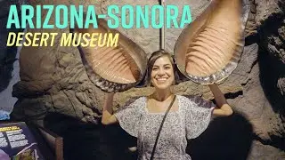 A Trip to the Arizona Sonora Desert Museum in Tucson, AZ!