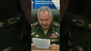 Шойгу: 