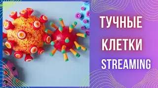 Тучные клетки. Синдром активации тучных клеток. MCAS.