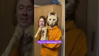 СИГМА КОТ УЖЕ ПОВСЮДУ😱