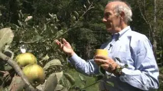 An Orchard and A Passion: A Visit with Eric Chivian '68