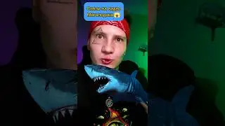 Мегалодон Всë Ещё Жив #shorts