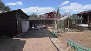 В гостях у Рафика. Специфика гона молодежи