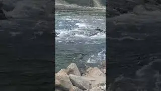 beautiful kaghan naran view # lake saif ul mulook # shorts