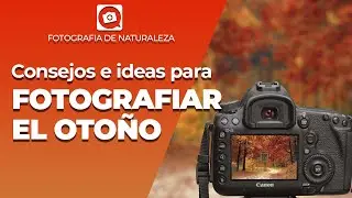 Consejos e ideas para FOTOGRAFIAR EN OTOÑO