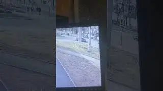 Самокат