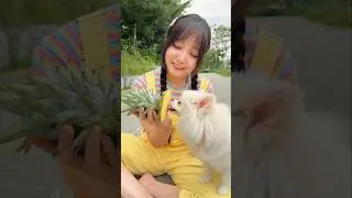 kkubi took his puppy to grow pineapples