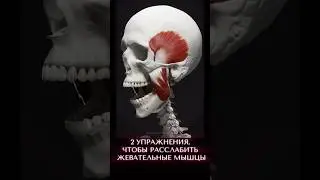 2 упражнения, чтобы расслабить жевательные мышцы