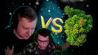 Toothy и Jaxvy vs Кустарники