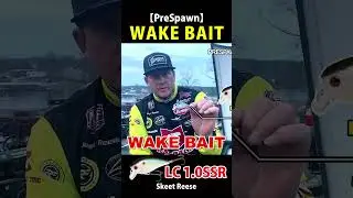 【PreSpawn 03, 04】Prespawn, Spawning Season Tip【LC 1.0SSR】