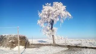 Зима электропастух жизнь в деревне
