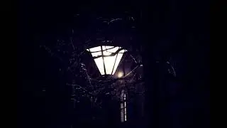 Страшные истории- Старуха во тьме